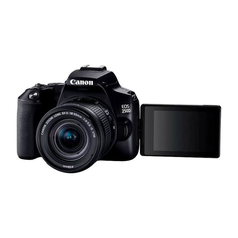 Canon EOS 250 DSLR Camera Kit with EF-S 18-55mm (F/3.5-5.6 III lens)